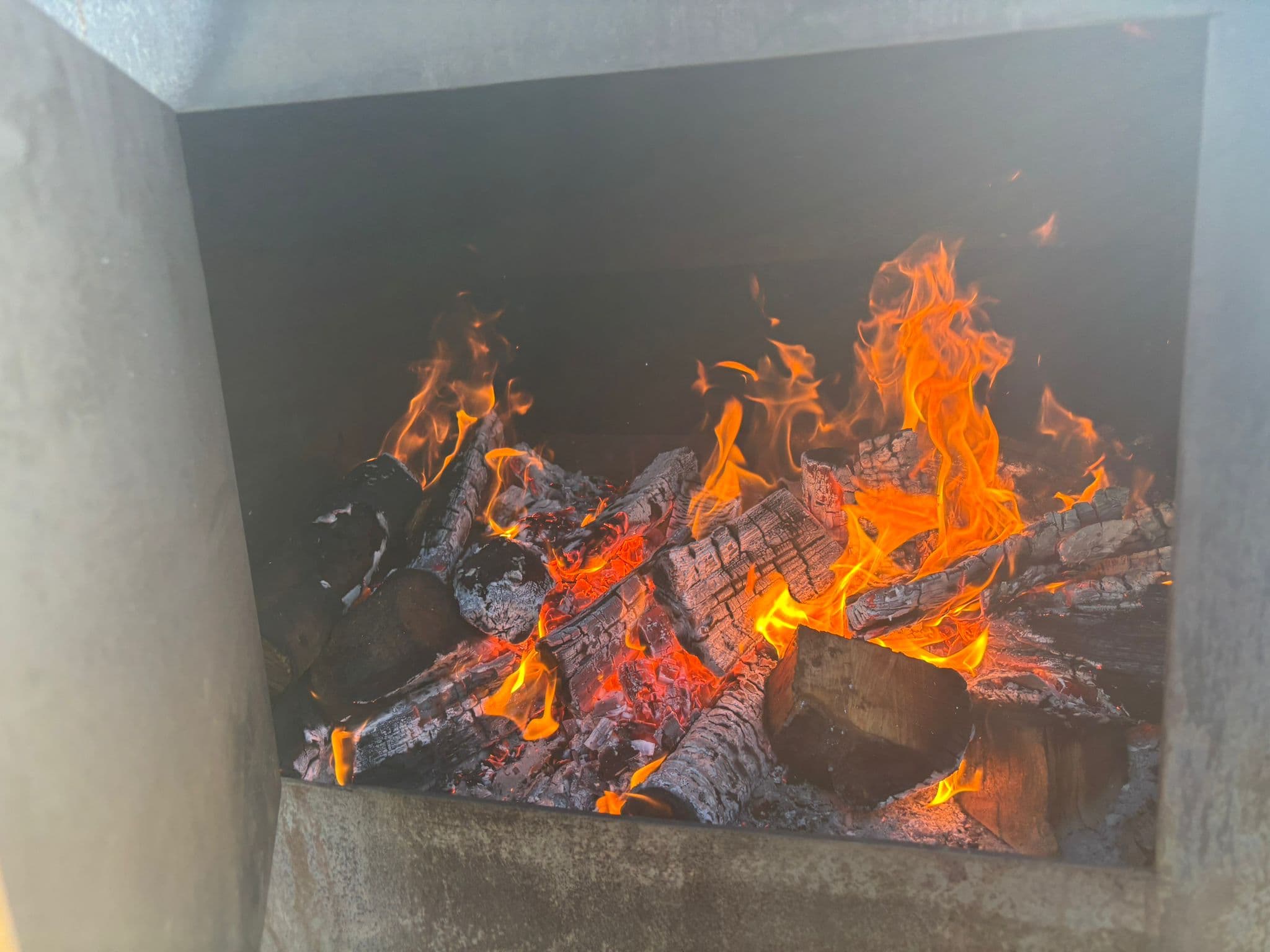 Burning logs in the fire box